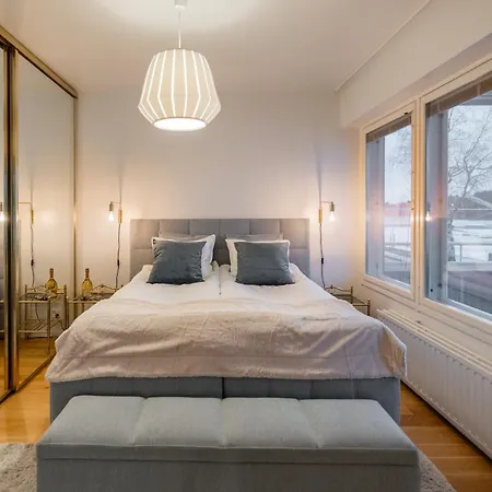 Northern Lights River 罗瓦涅米