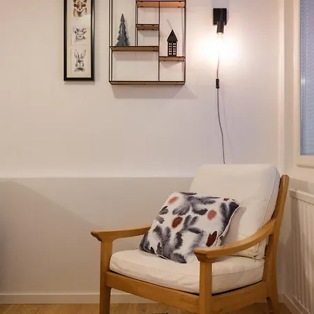 Northern Lights River