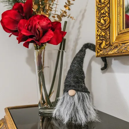 Northern Lights River * 罗瓦涅米