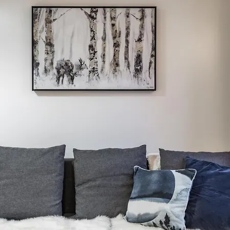 Northern Lights River