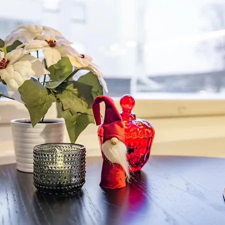 Northern Lights River Apartament *