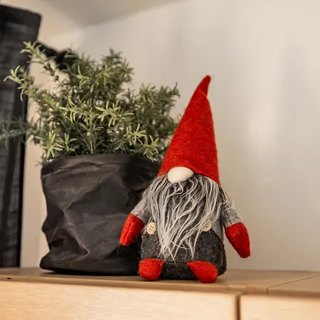 Apartament Northern Lights River *