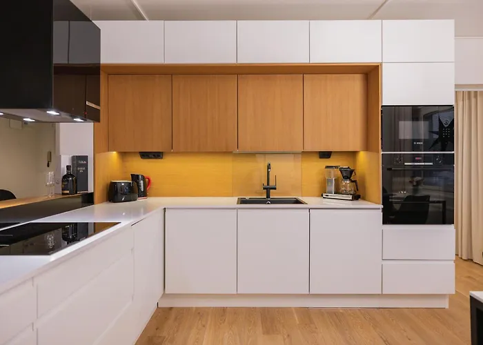 Northern Lights River * 로바니에미