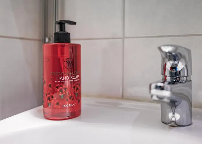 Northern Lights River * 로바니에미